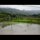 Wo irgend möglich wird auf kleinen Parzellen Nassreis angebaut